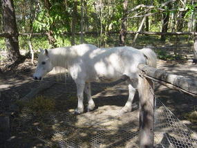 The Sunshine Coast (33)
