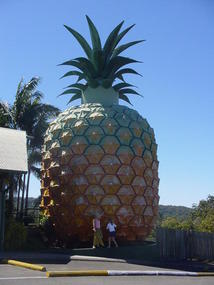 The Sunshine Coast (40)