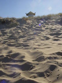 The Sunshine Coast (43)