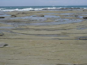 The Sunshine Coast (5)