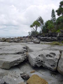 The Sunshine Coast (6)