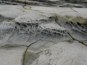 The Sunshine Coast (7)