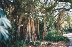 Brisbane City Area (11)