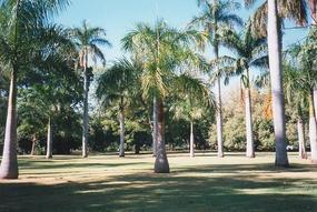 Brisbane City Area (12)