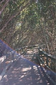 Brisbane City Area (13)
