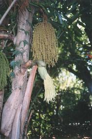 Brisbane City Area (19)
