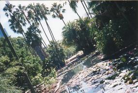 Brisbane City Area (9)