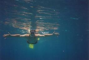 Port Douglas and Cairns - February 1995 (2)