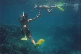 Port Douglas and Cairns - February 1995 (3)