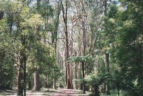 Lifes more than just a beer in Melbourne (7)