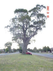 Lifes more than just a beer in Melbourne (87)