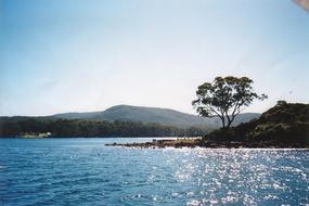 Hobart Area (37)