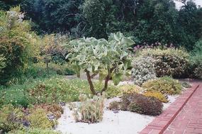 Adelaide & South Australia (13)