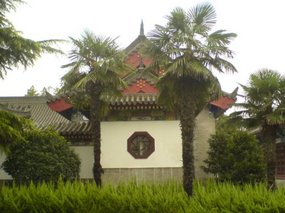 Shaanxi Welcome Mat 12