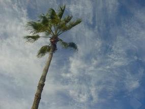 Good Bye Australia - Gold Coast 5