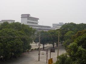 My New Pad in Tianyang County