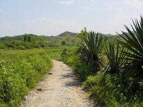 Pingguo Adventure (2)