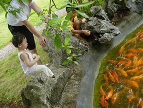 Pingguo Adventure (8)