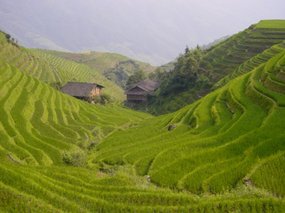 Guangxi Ping An Rice Adventure