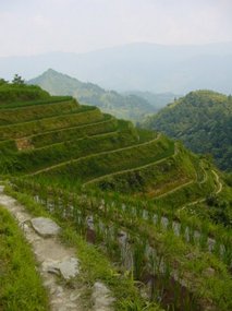 Guangxi Ping An Rice Adventure