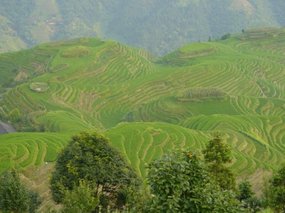 Guangxi Ping An Rice Adventure