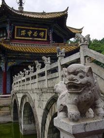 Yuantong Si
