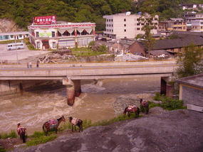 Qiaotou4