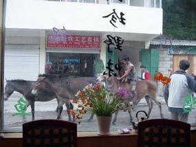 Mingyong  - Not your usual traffic 2