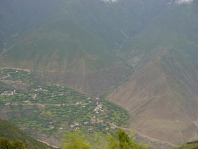 Mingyong 8