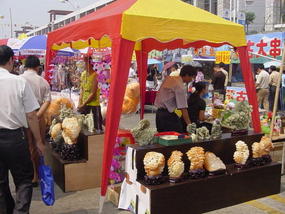 Nanning Food Festival (17)