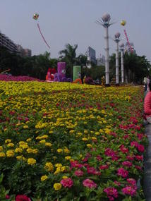 Nanning Food Festival (1)