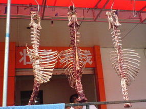 Kunming Xmas Weekend (7)