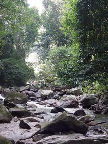 Mandian Waterfalls N BBQ (5)
