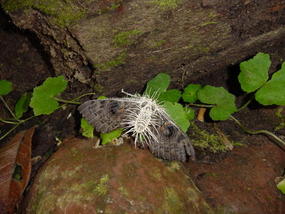 Nature Reserve N Hannahs Birthday