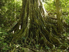 Nature Reserve N Hannahs Birthday (3)