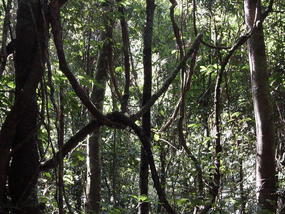 Nature Reserve N Hannahs Birthday (5)