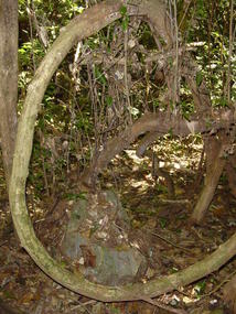 Nature Reserve N Hannahs Birthday (9)