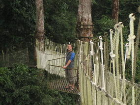Aerial Skywalk (1)