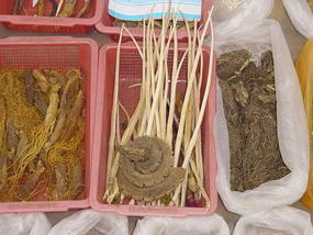 Mengla Market and Aerial Skywalk (4)