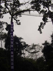 Mengla Market and Aerial Skywalk (8)