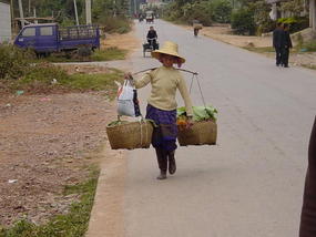 Mengla Market Village N Walk (12)
