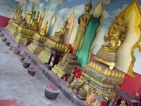 Manting Park N Walk (12)