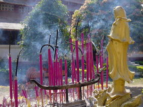 Manting Park N Walk (9)
