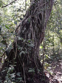 Sanchahe Nature Reserve (12)