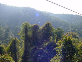Sanchahe Nature Reserve (15)