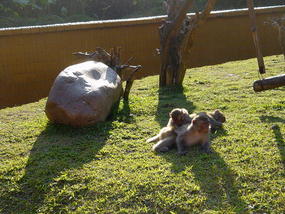 Sanchahe Nature Reserve (18)