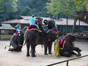 Sanchahe Nature Reserve (3)