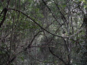 Sanchahe Nature Reserve (7)