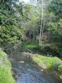 Sanchahe Nature Reserve (9)