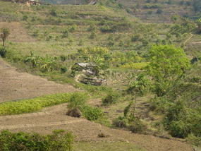 The Jinghong Mud Map Walk (10)